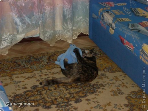 Поели, умылись, марафет навели и играть! (фото 17)