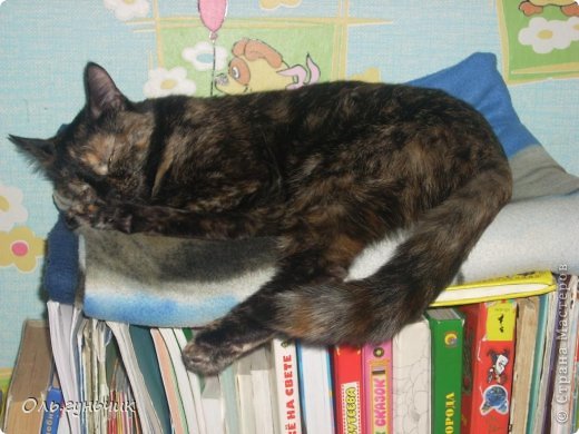 И вот так)) Моя верхолазка облюбовала на детских книжках спать, пришлось ей  и туда пледик постелить))) (фото 7)
