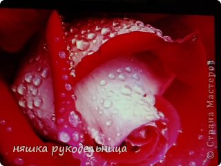 а на это скоро будет похоже (фото 15)