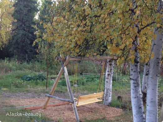 Самый короткий сезон у нас -весна. В лучшем случае она длится 2 недели, чаше всего пару дней. Лето около двух с половиной месяцев и месяц- полтора осень. Всё остальное время у нас зима- иногда мороз доходит до -60, но это редкость, а вот -30 это норма. (фото 5)