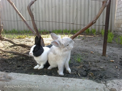 Всем (еще разок) ПРИВЕТ!!!! 