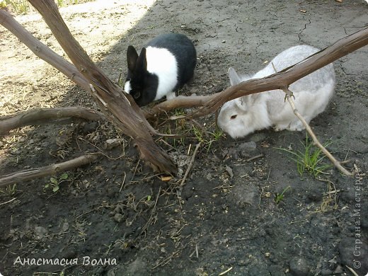 Нашли что-то! Таких искателей приключений нужно еще поискать! (фото 5)