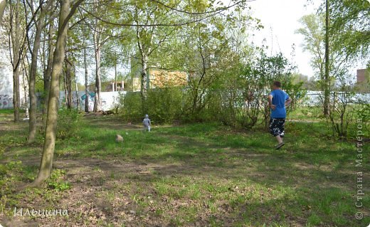 Картина "Витька в лесу" если найдете)))) (фото 11)