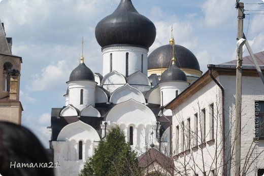 Камелии и пион (фото 10)