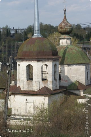 Камелии и пион (фото 17)