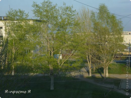 Вот такая погода у меня в городке. И в эти чудные солнечные дни у меня случилось две небольших, но очень приятных радостей))). (фото 1)