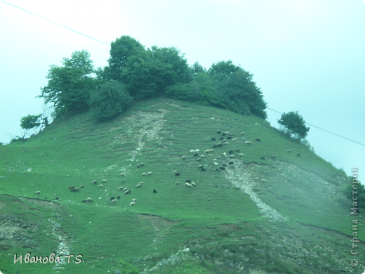 Кабардино-Балкария. (фото 36)