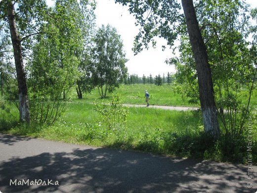 В Красноярске очень много людей предпочитающих активный отдых. Сейчас на дорожке очень уверенно едет на роликах женщина лет 50. Браво! (фото 11)