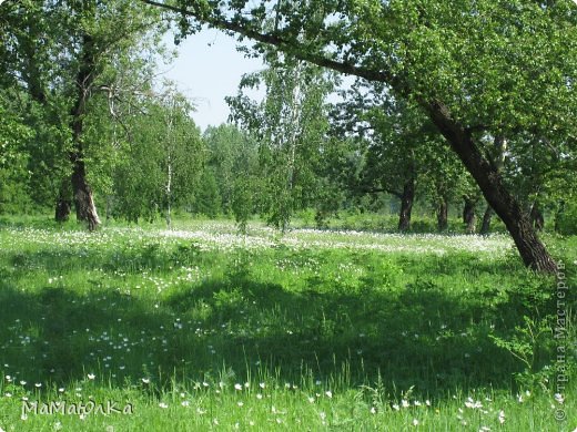 Здравствуйте! Это мой обещанный сюрприз! 
Сегодня я расскажу об острове Татышев. (в конце поста прошу пригласить к экрану маленьких деток, им будет интереснее вдвойне).
Красноярцы называют его остров ТатышевА или ТатышевО. Сама, когда надо было произнести его назнвание, всегда чувствовала неловкость. Казнила себя за то, что не знаю об острове ничего, даже как правильно он произносится.
А сейчас я постараюсь сама разобраться и Вас познакомить с нашими родными краями.
Почему он так назван? (фото 1)