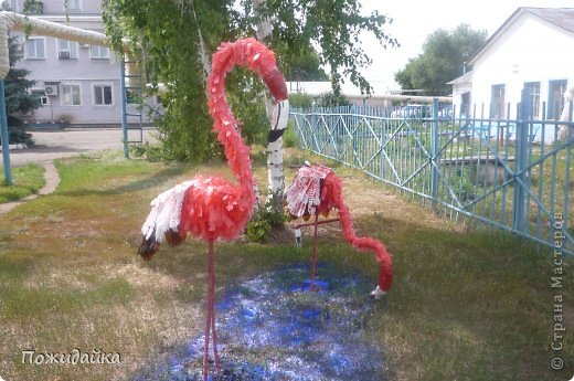 Вот и готовы мои фламинго.Спасибо за вдохновение и мк Алене Зиновьевой   у нее сделаны аисты ,орел .....А я подумала и остановилась на этих красивых птицах.запаслась бутылкам,канистрами и остальным "хламом"  и вот результат!!!!!!!!!!!! (фото 1)