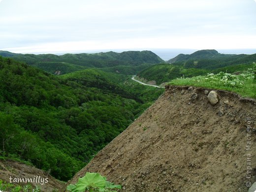 Декупаж и фотопрогулка :) (фото 9)