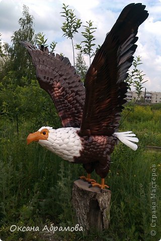 Дальше я наткнулась на МК Алены Зиновьевой " Орел из пластиковых бутылок". Эта шикарная птица так понравилась моей семье, что я не могла отказать им. (фото 12)