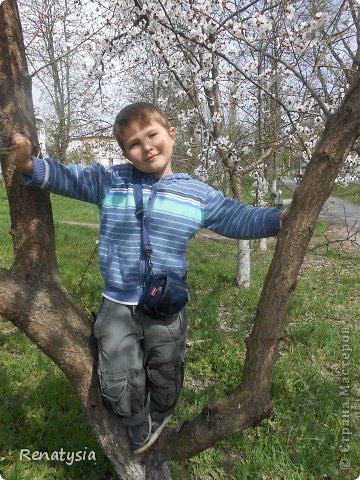 А сынуле из папиных  больших штанов,получился уменшеный вариант,кот.делаются или длинее или короче)))Также поперешивала из не подлежащих ремонту взрослых легких штанов,домашние шортики .Выкройки снимала или с уже имеющихся шортиков или на глаз. (фото 4)