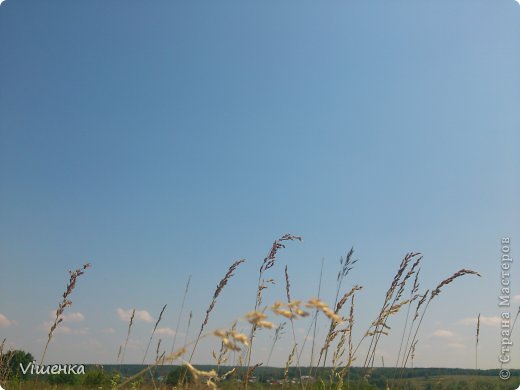 над головой ни облачка, только где то там белые барашки... (фото 1)