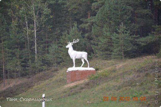 Через несколько км после стелы по обе стороны от трассы,параллельно друг другу на холмах стоят вот эти гордые красавцы. Жаль что не живые. (фото 3)