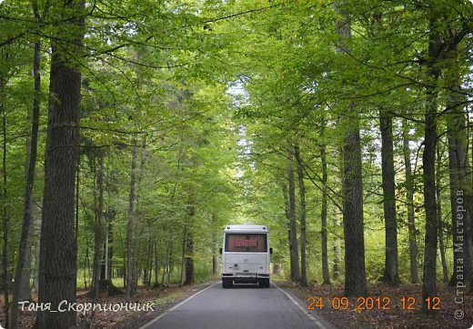 Поэтому из-за вот такой панорамы я не смогу вам показать много красивых фото лесной чащи. Автобус портит весь вид. (фото 6)