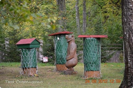 Пасека. И её охранник))) (фото 40)