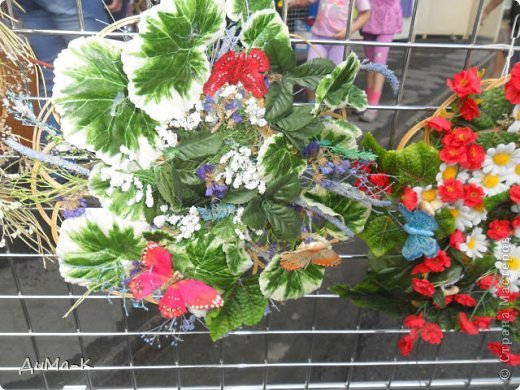 Флористика. (фото 12)