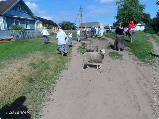 Отправляемся к домику, где жил батюшка Николай. (фото 27)