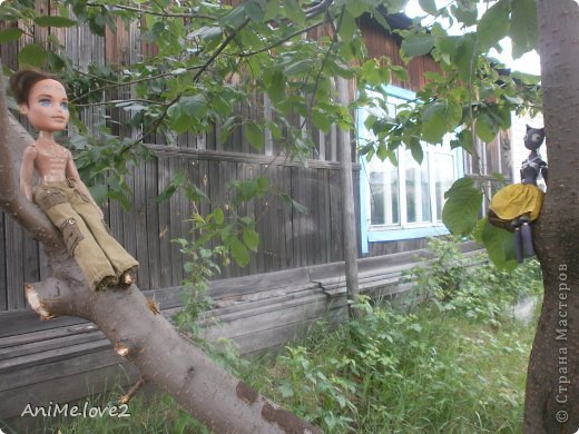Мы сели на разных ветках но время от времени поглядывали друг на друга.
На этом все до скорых встреч . ;) *__________* (фото 7)