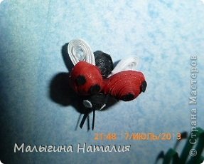 а вот и  вторая божья коровка летит на наш букетик... (фото 8)