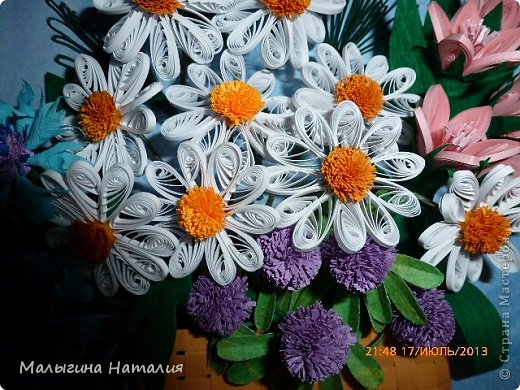 Ромашки, клевер... (фото 4)
