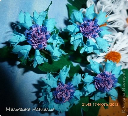 василёчки... (фото 5)