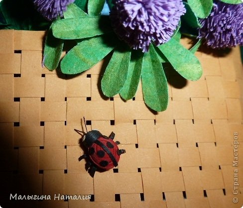 божья коровка ползёт к душистому клеверу... (фото 6)