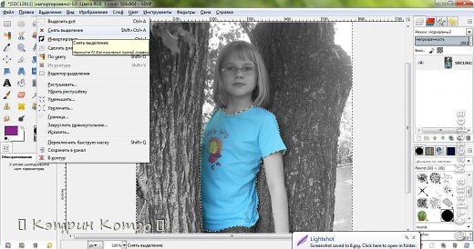 И остается только снять выделение. Меню Выделение - Снять выделение (фото 9)