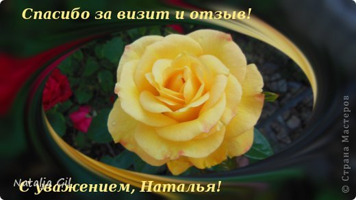 Благодарность друзьям (фото 6)