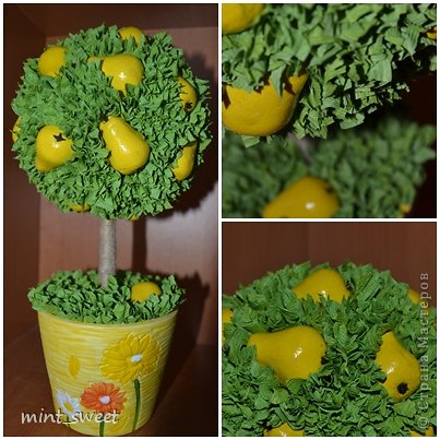 Очередной мой топиарий:)
В СМ уже много грушевых деревьев,насмотревшись на них,у меня получилось вот такое солнечное деревце!
Груши лепила из соленого теста.Это был мой первый опыт такой лепки,вполне успешный:)Единственный минус таких груш-они утяжеляют крону.Но устойчивый глиняный горшочек исправил ситуацию-дерево стоит,не шатается.Вокруг груш торцовки из гофробумаги.
