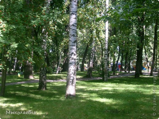 Долгожданный отпуск.решили провести в родном городе мужа- Пензе.Август.Из ,,вызжженного,,зноем Севастополя попали в сказку.Зелень,вокруг пахнет свежестью и весной!Город расположен в зелёной зоне и достоин уважения!Радует глаз и волнует сердце!Разрешите пару фотографий этой красоты! (фото 1)