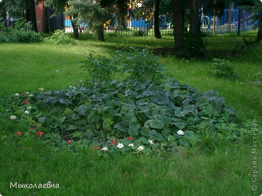 Декупаж. Подарки дорогим сердцу людям! (фото 4)