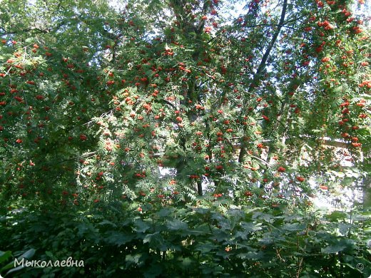 Декупаж. Подарки дорогим сердцу людям! (фото 2)