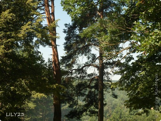 Вот мой фотоотчет за период  двухмесячного отсутствия на сайте. Гостили у моих бабушки и дедушки, показывали правнука и правнучку. (фото 1)