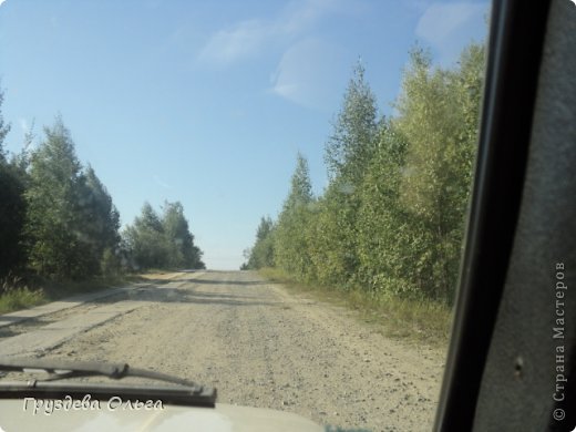 Собрались и мы сделать запас шиповника да клевера, хотя клевер почти уже отцвёл. 
Выезжаем за поселок. (фото 17)