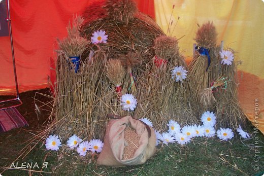 Вот с такой соломы получаются красивые изделия... (фото 9)