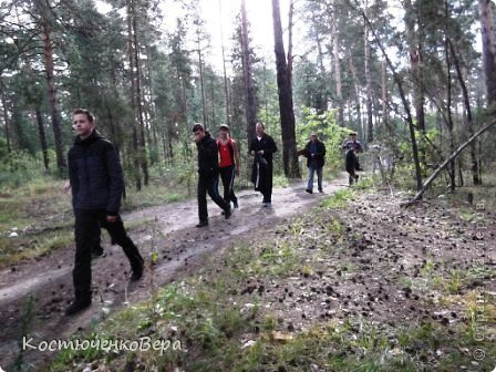 Вся земля усыпана хвоёй и шишками. В лесу можно встретить белок или ежа, если повезёт. А нам повезло увидеть только дятла. 
Мой 9 класс. (фото 11)