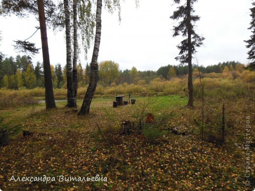 Полянка - чудная полянка! (фото 3)