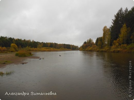 Просится пейзаж кисти Шишкина. (фото 21)