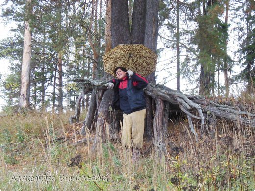 В сосновой роще, на крутом берегу реки. (фото 23)