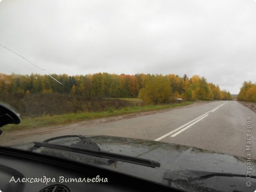 По всей дороге в кустах машины грибников. (фото 33)