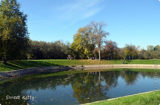 Прудик в яблоневом саду (Коломенское) (фото 4)