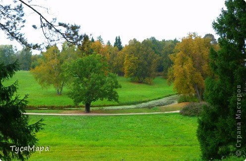 Там, где тихо бродит Осень... (фото 5)