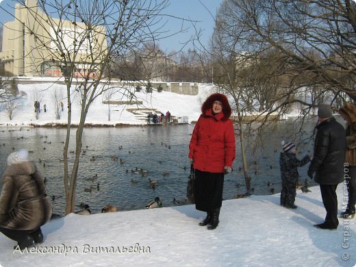 Диорама за прудом, а какое количество уток! (фото 2)