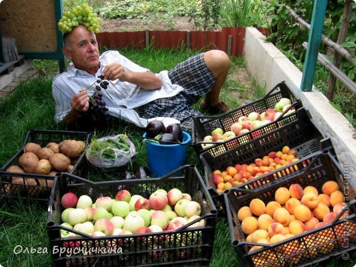 Все показать не смогу, не хватит ресурса Страны, если все мы покажем свои дачные способности.(Смеюсь)
Но главного садовода нашей дачи, по совместительству " папА" ( иногда хочется на французский манер) хочется продемонстрировать. (фото 13)