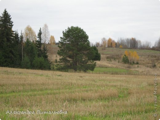 Осень в N-ском районе. 2008 год. (фото 10)