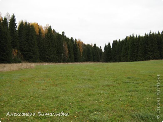 Осень в N-ском районе. 2008 год. (фото 11)