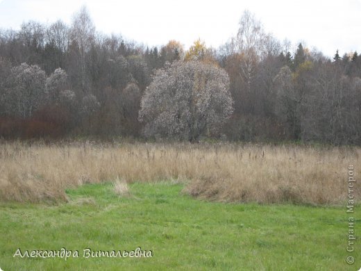 Осень в N-ском районе. 2008 год. (фото 12)