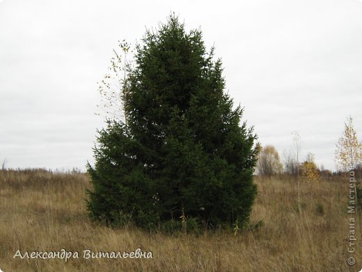 Осень в N-ском районе. 2008 год. (фото 13)